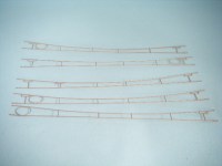 Catenaria_N_per__4f9ac0b4cb1f17